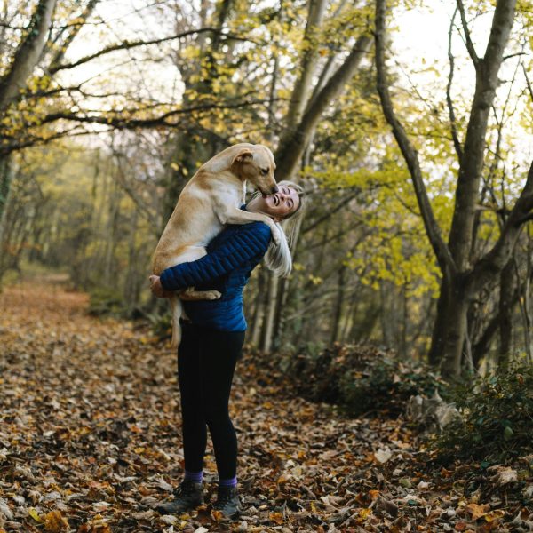 Crédito imagem - Pexels.com - Goodcitizen